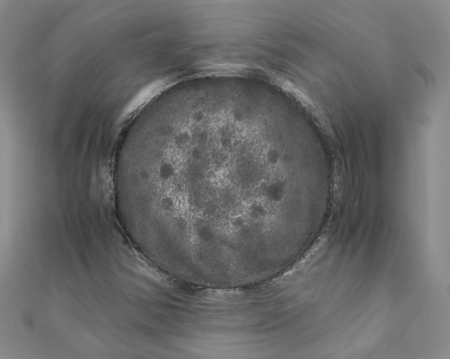 X0000110871354200907021428