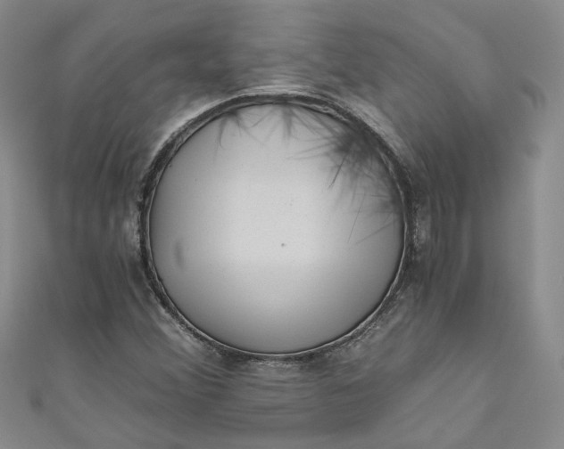 X0000110871356200907021428