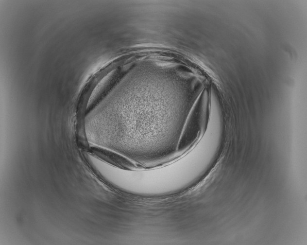 X0000110871357200907021428