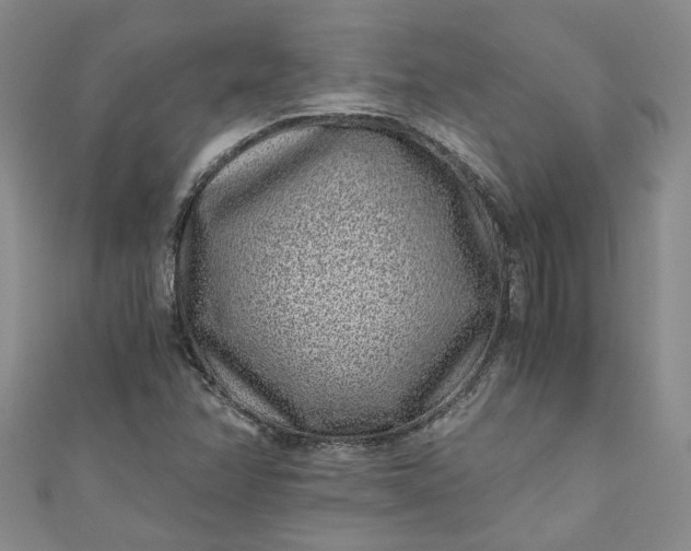 X0000110871358200907021428