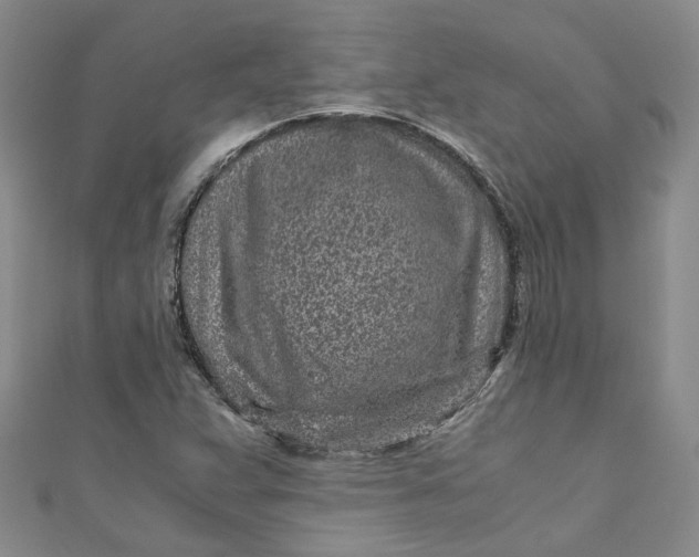 X0000110871359200907021428