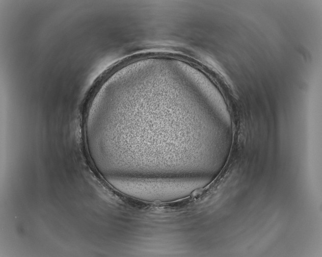 X0000110871360200907021428