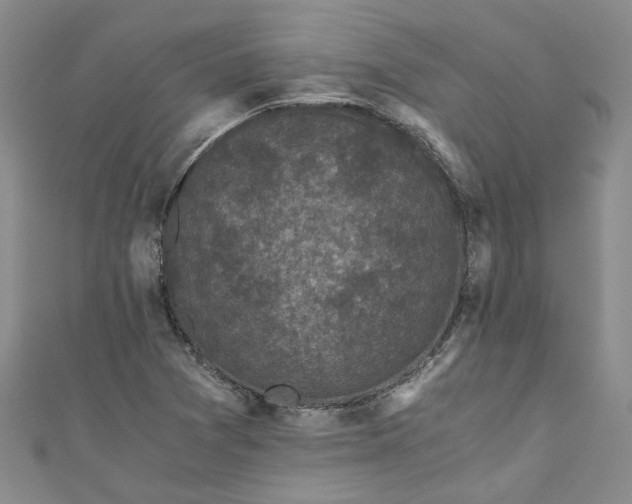 X0000110871361200907021428