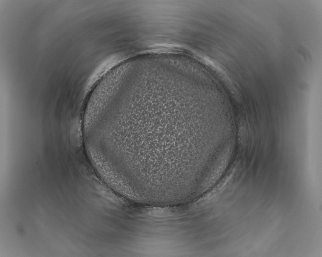 X0000110871362200907021427