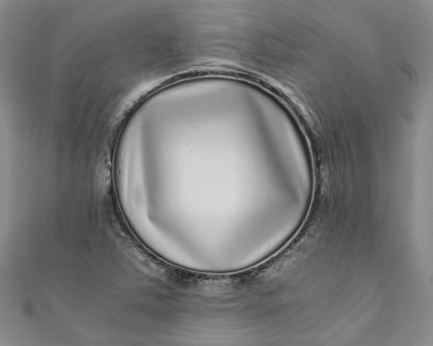 X0000110871363200907021427