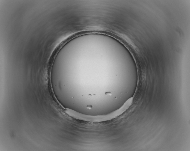 X0000110871364200907021427