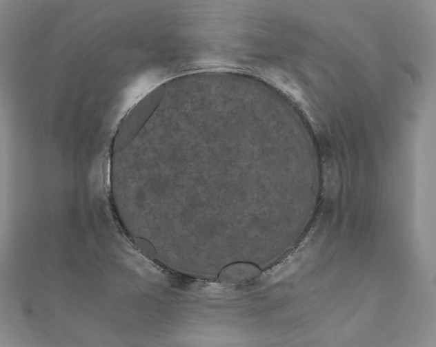 X0000110871365200907021427