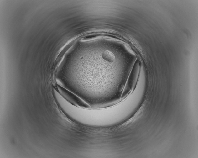 X0000110871369200907021427