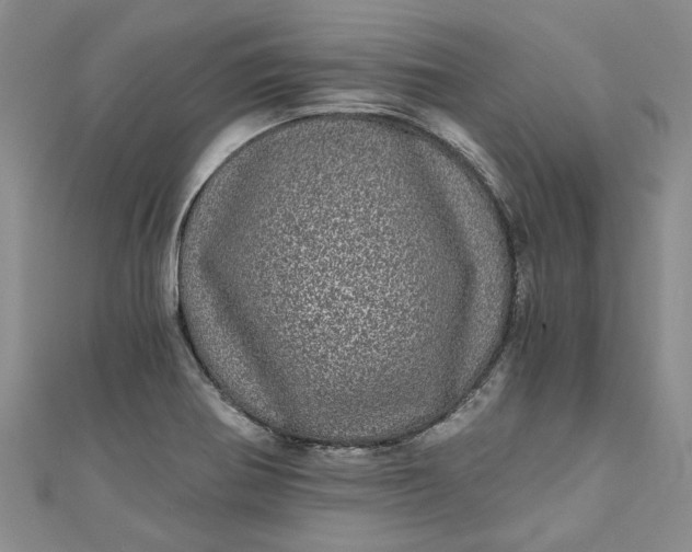 X0000110871370200907021427