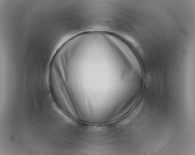 X0000110871374200907021427