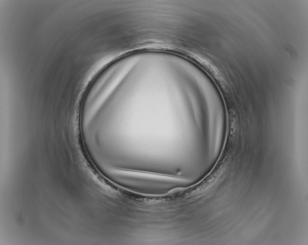 X0000110871375200907021427