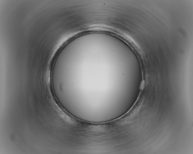 X0000110871376200907021427