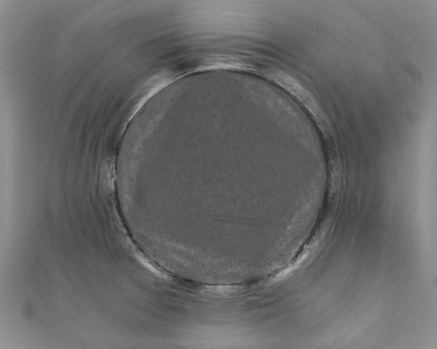 X0000110871377200907021427