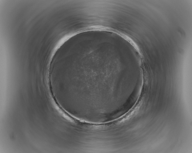 X0000110871381200907021427