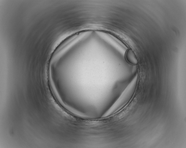 X0000110871382200907021427