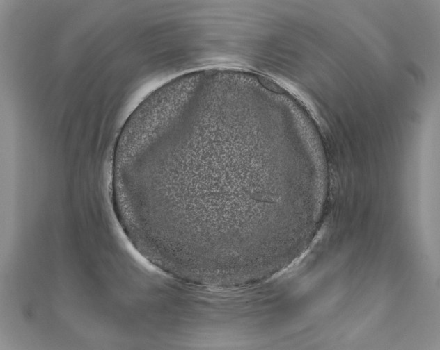 X0000110871383200907021427