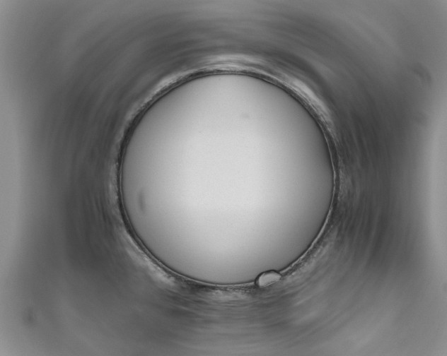 X0000110871384200907021427