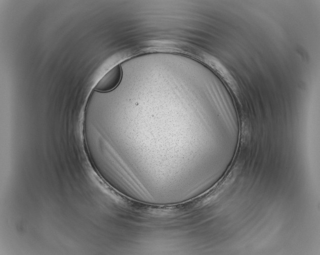 X0000110871386200907021427