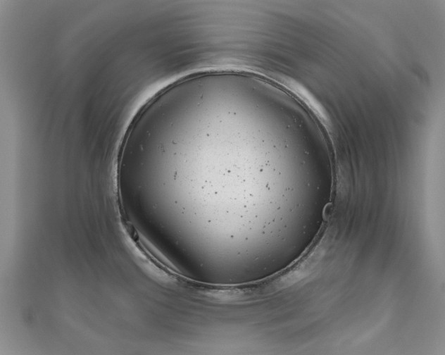 X0000110871388200907021427