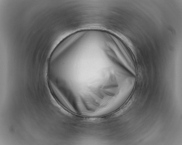 X0000110871390200907021427