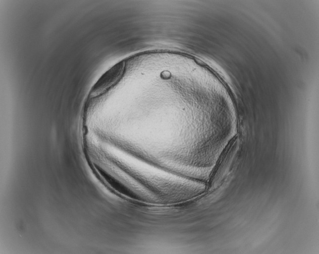 X0000110871391200907021427