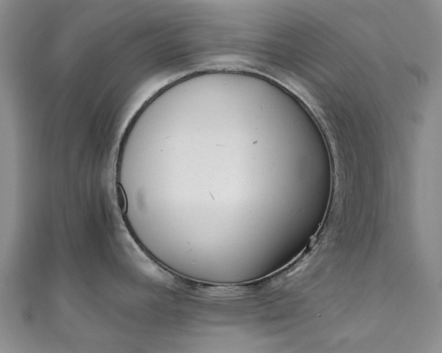 X0000110871392200907021427