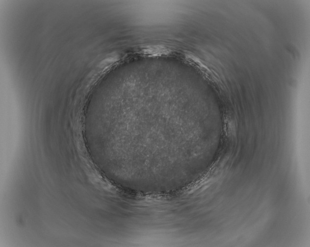 X0000110871393200907021426