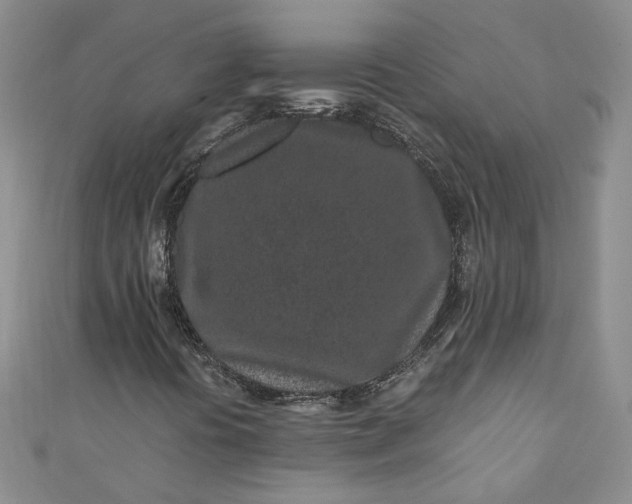 X0000110871394200907021427