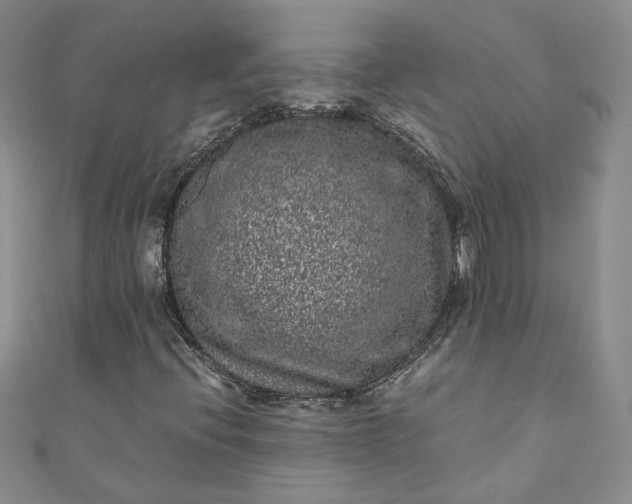 X0000110871396200907021427