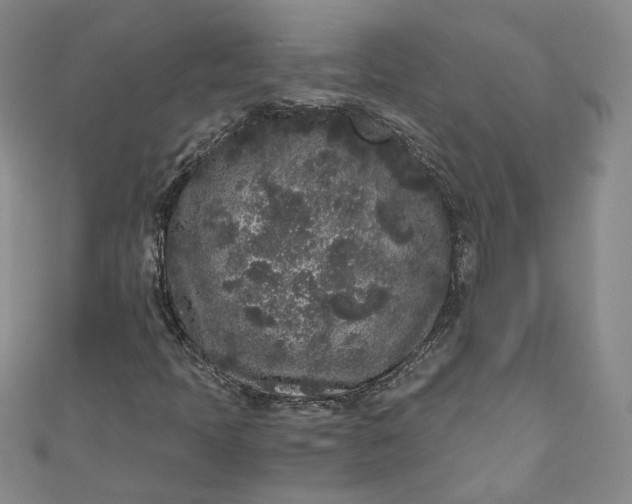 X0000110871397200907021427