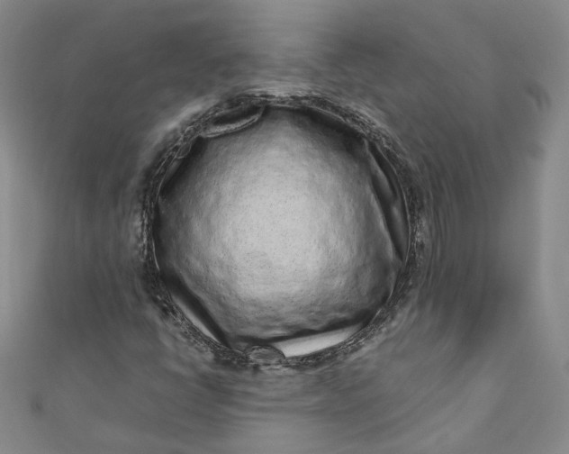 X0000110871398200907021427