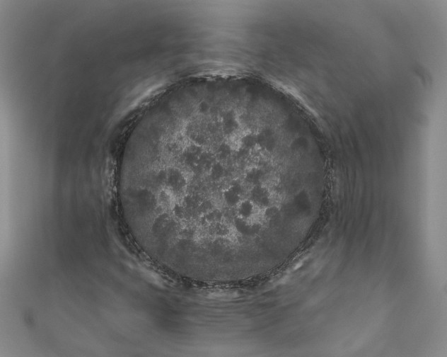 X0000110871399200907021427