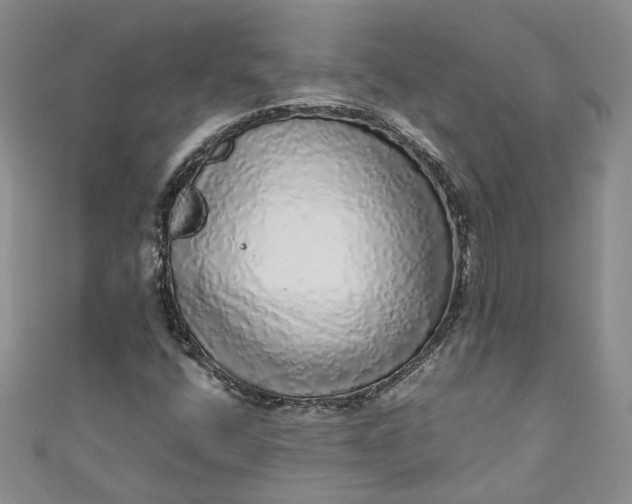 X0000110871400200907021427