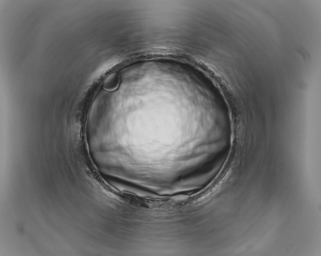 X0000110871402200907021427