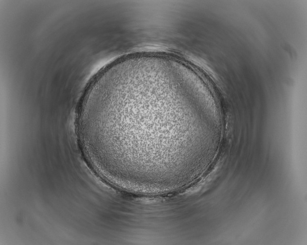 X0000110871404200907021427