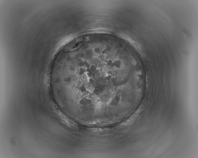 X0000110871405200907021427