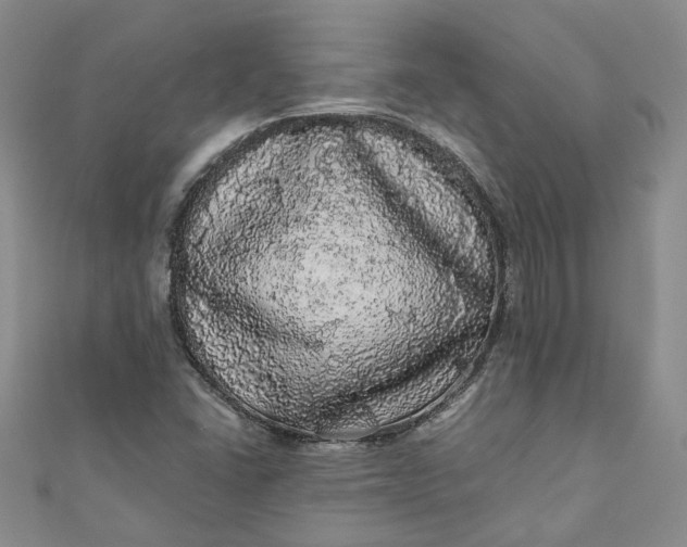 X0000110871406200907021427