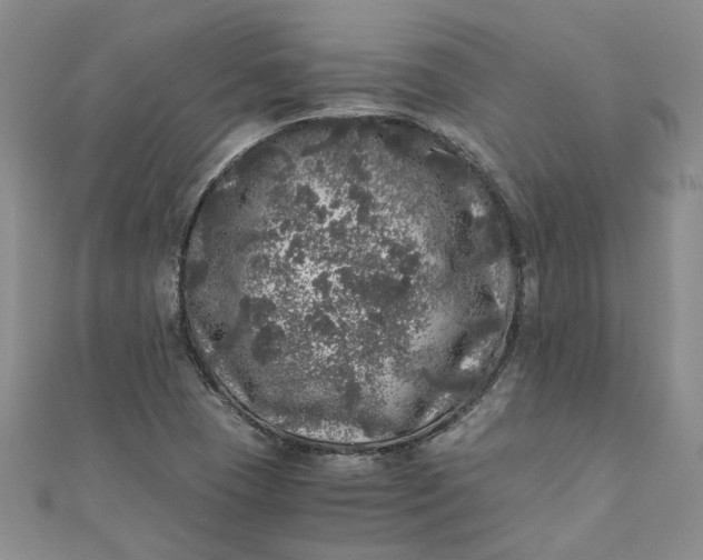 X0000110871409200907021427