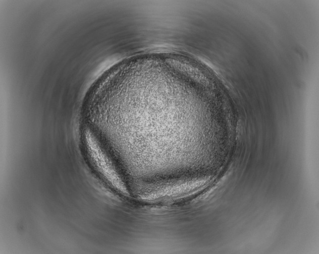 X0000110871410200907021427