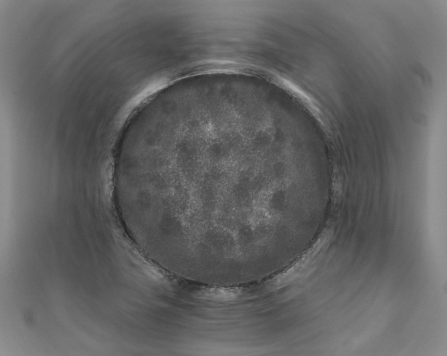 X0000110871411200907021427