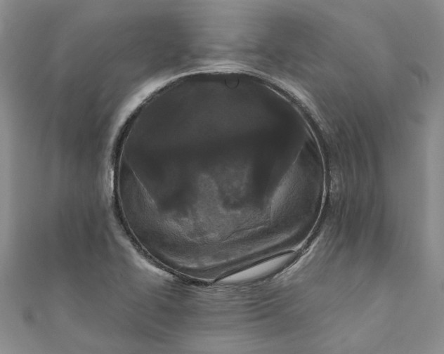 X0000110871414200907021427