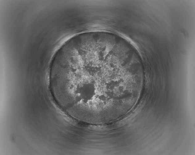 X0000110871415200907021427