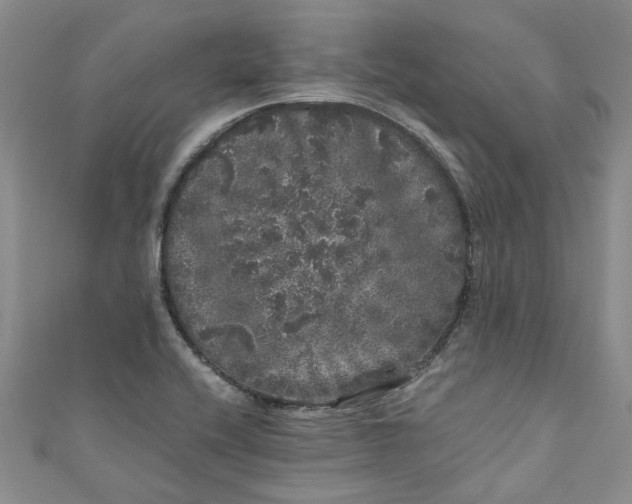 X0000110871416200907021427