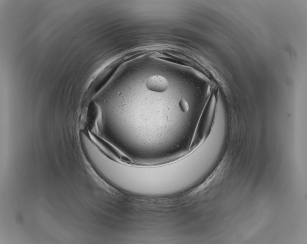 X0000110871417200907021427