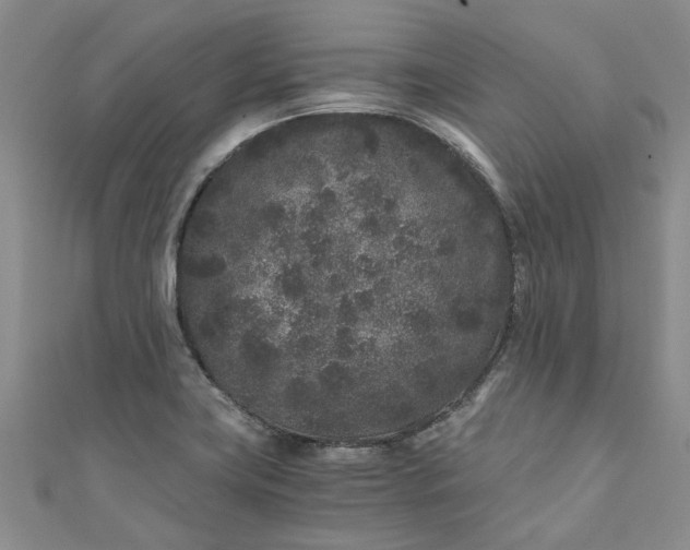 X0000110871419200907021427