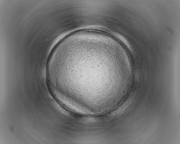 X0000110871420200907021427