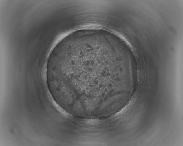 X0000110871421200907021427