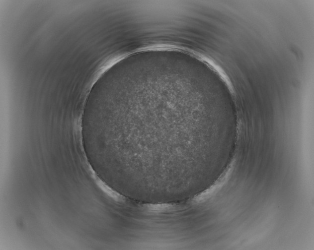 X0000110871425200907021427