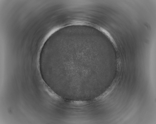 X0000110871427200907021427