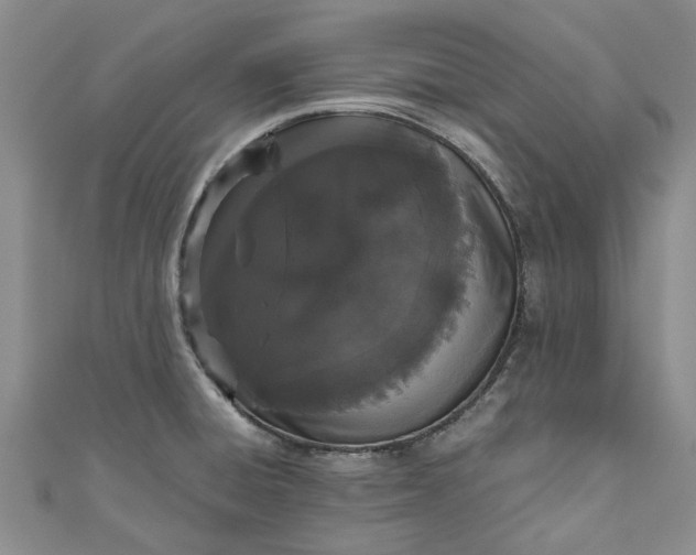 X0000110871428200907021427